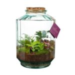 Terrarium ecosysteem